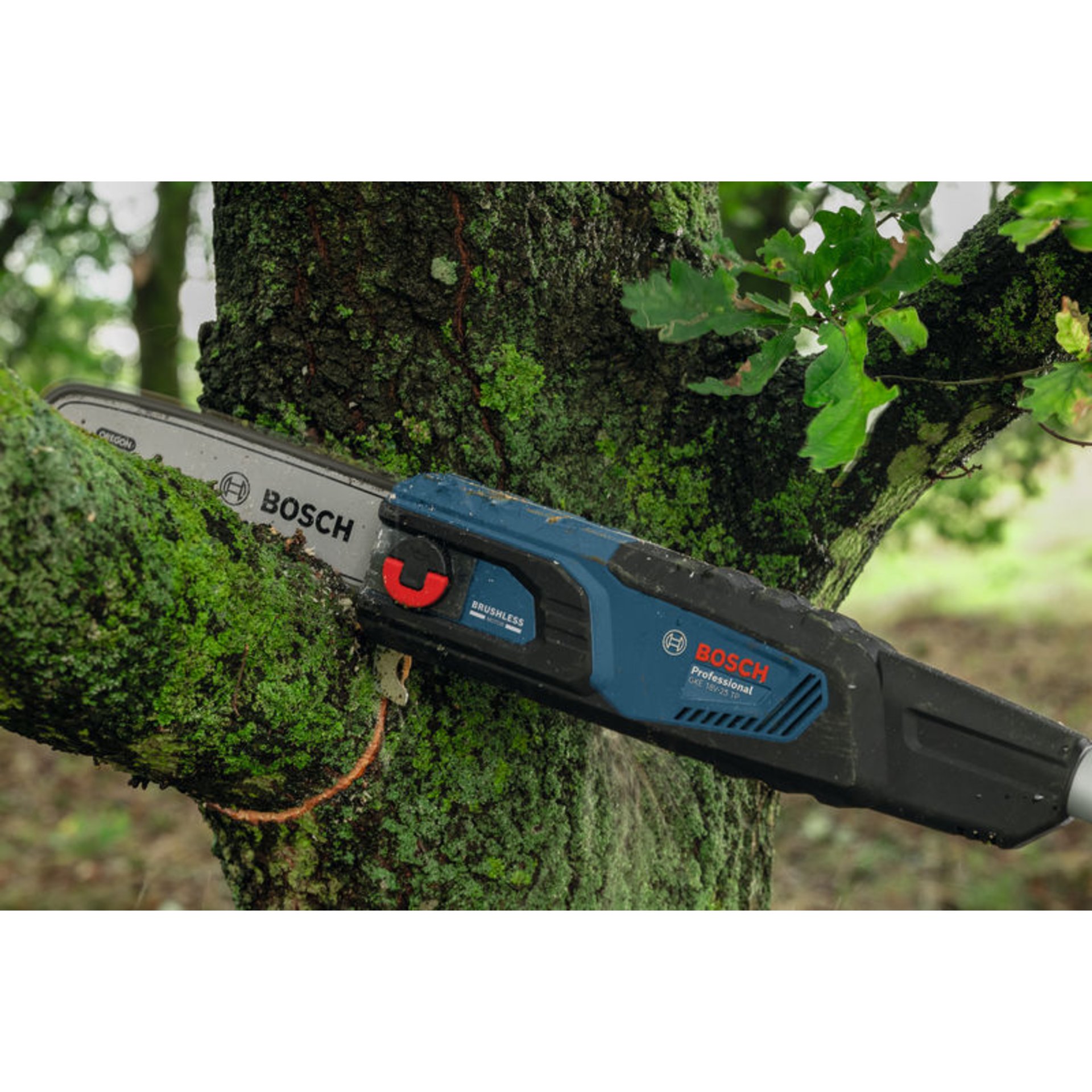 Akku-Teleskop-Hochentaster GKE 18V-25 TP