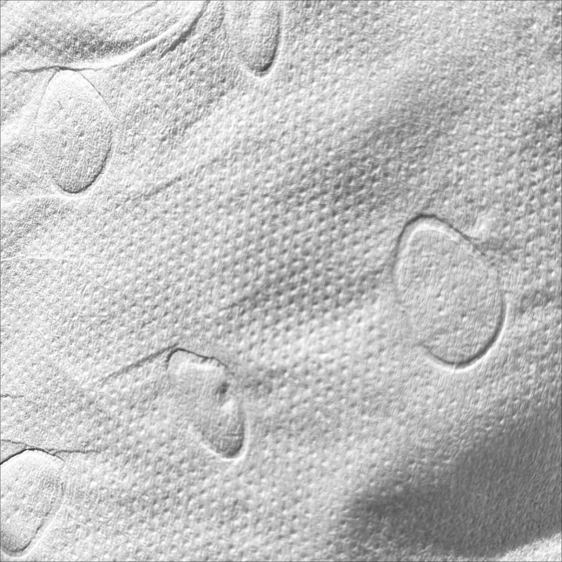 Toilettenpapier 3-lagig, weiß 250 Blatt/Rolle