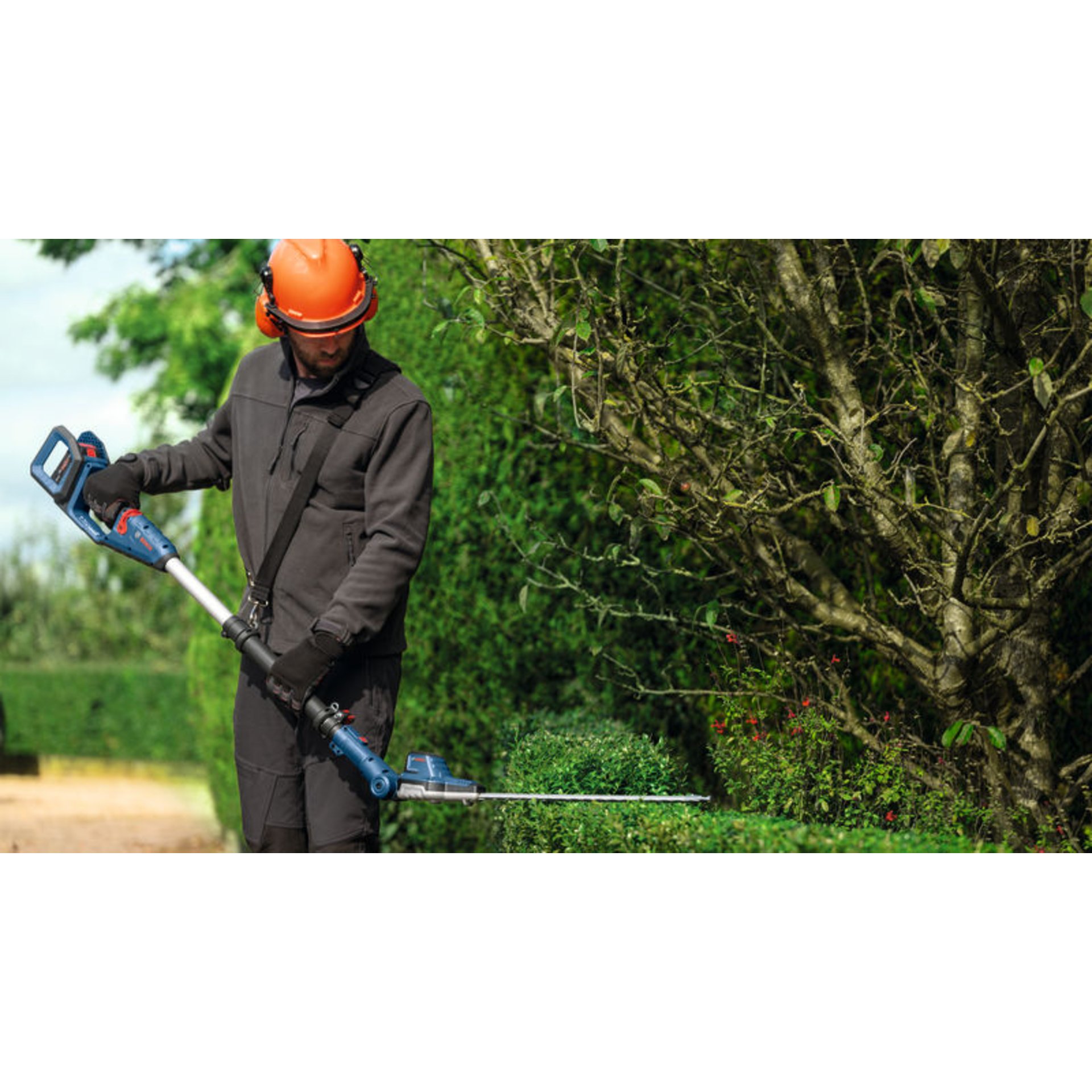 Akku-Teleskop-Heckenschere GHE 18V-50 TP