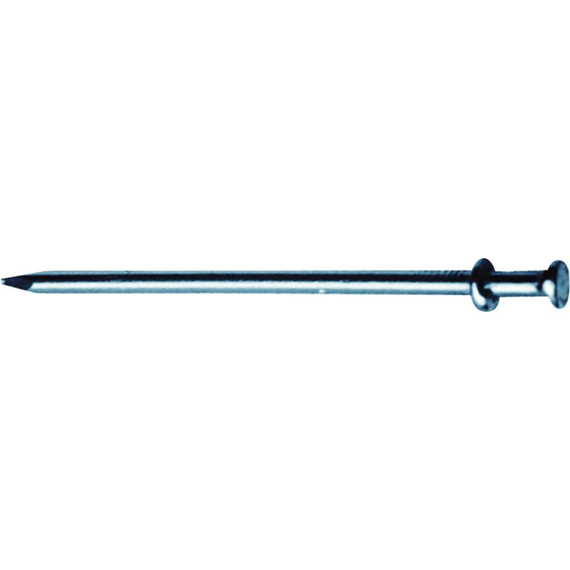 Doppelkopfstift blank 3,1x 55/65 a 5,0kg E-NORMpro