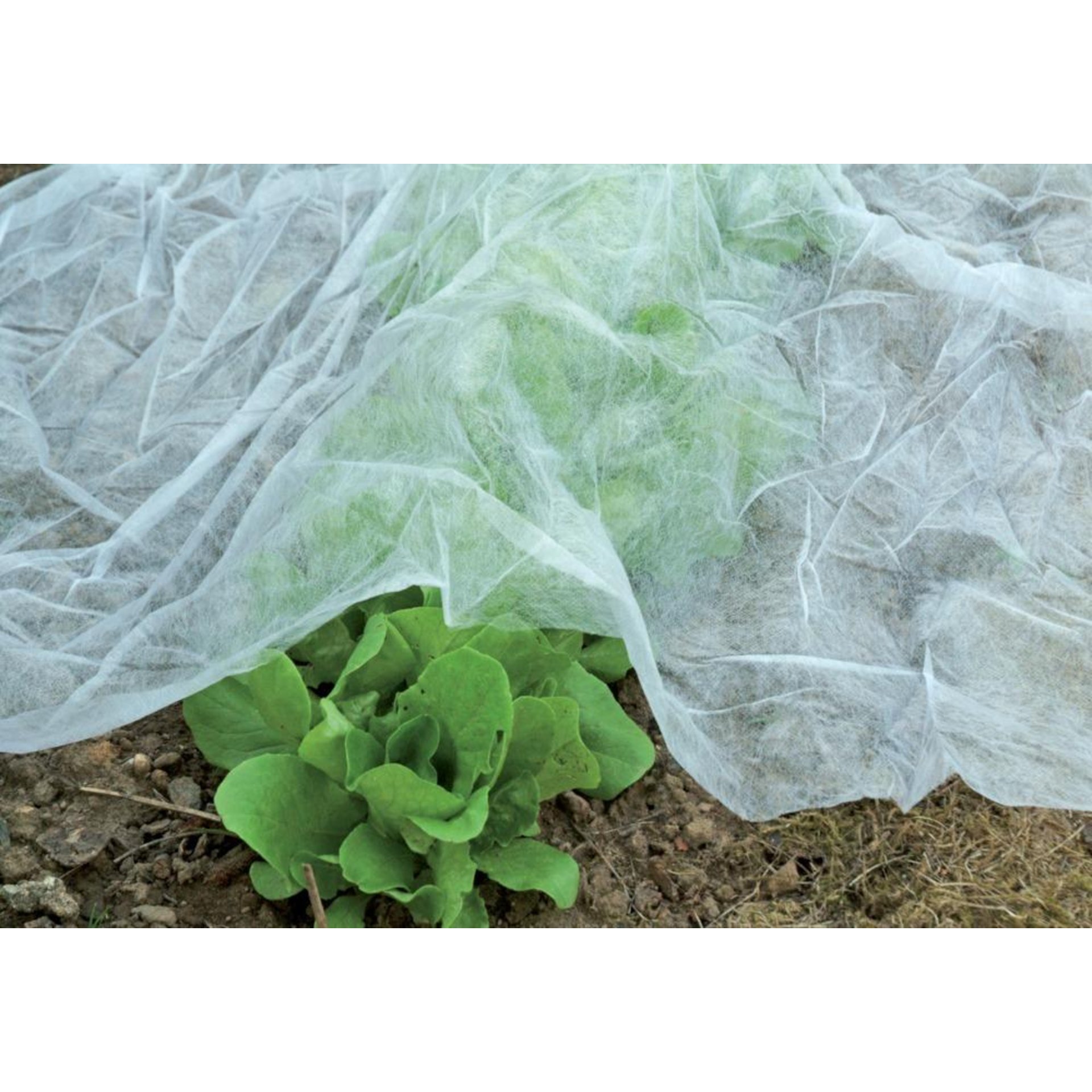 Universal-Garten-Vlies 17g/qm FW