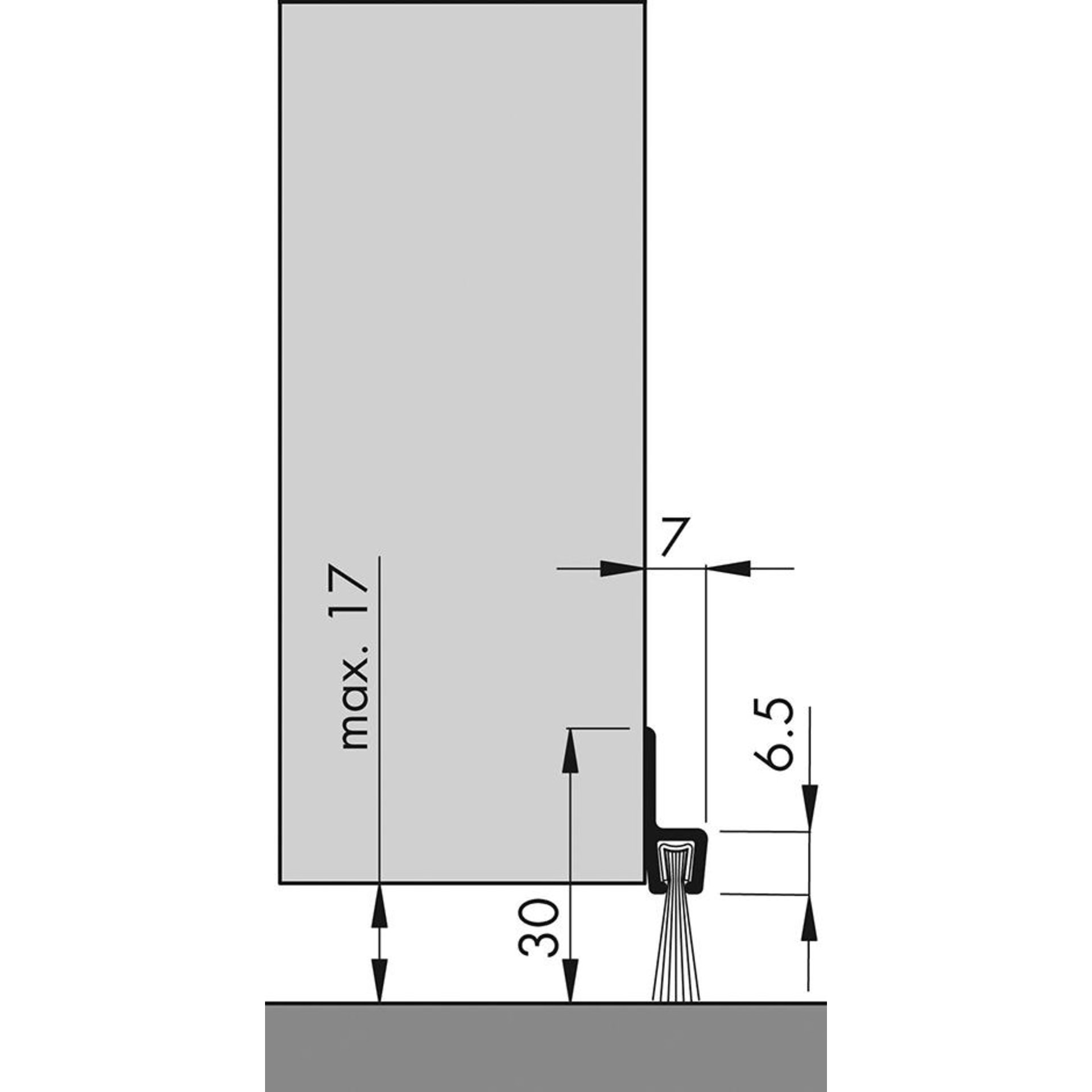 Türbodendichtung alu IBS 31 250cm m.PP Bürste ELLEN