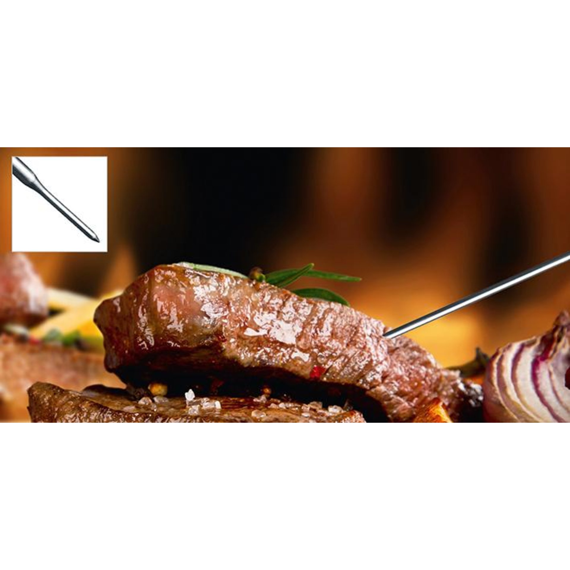 Thermometer Maitre Laserliner