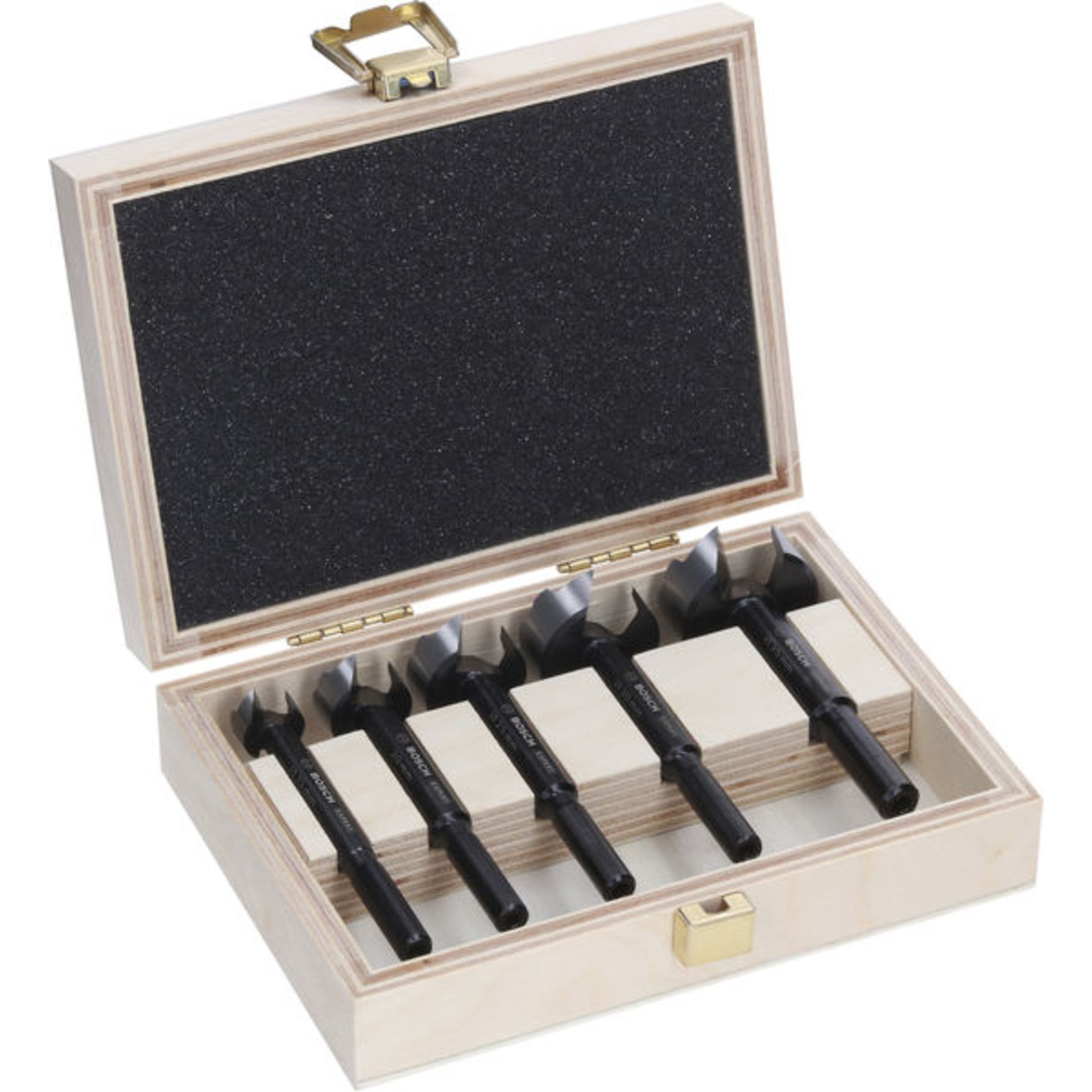 EXPERT Wood Forstnerbohrer Set, 5-tlg