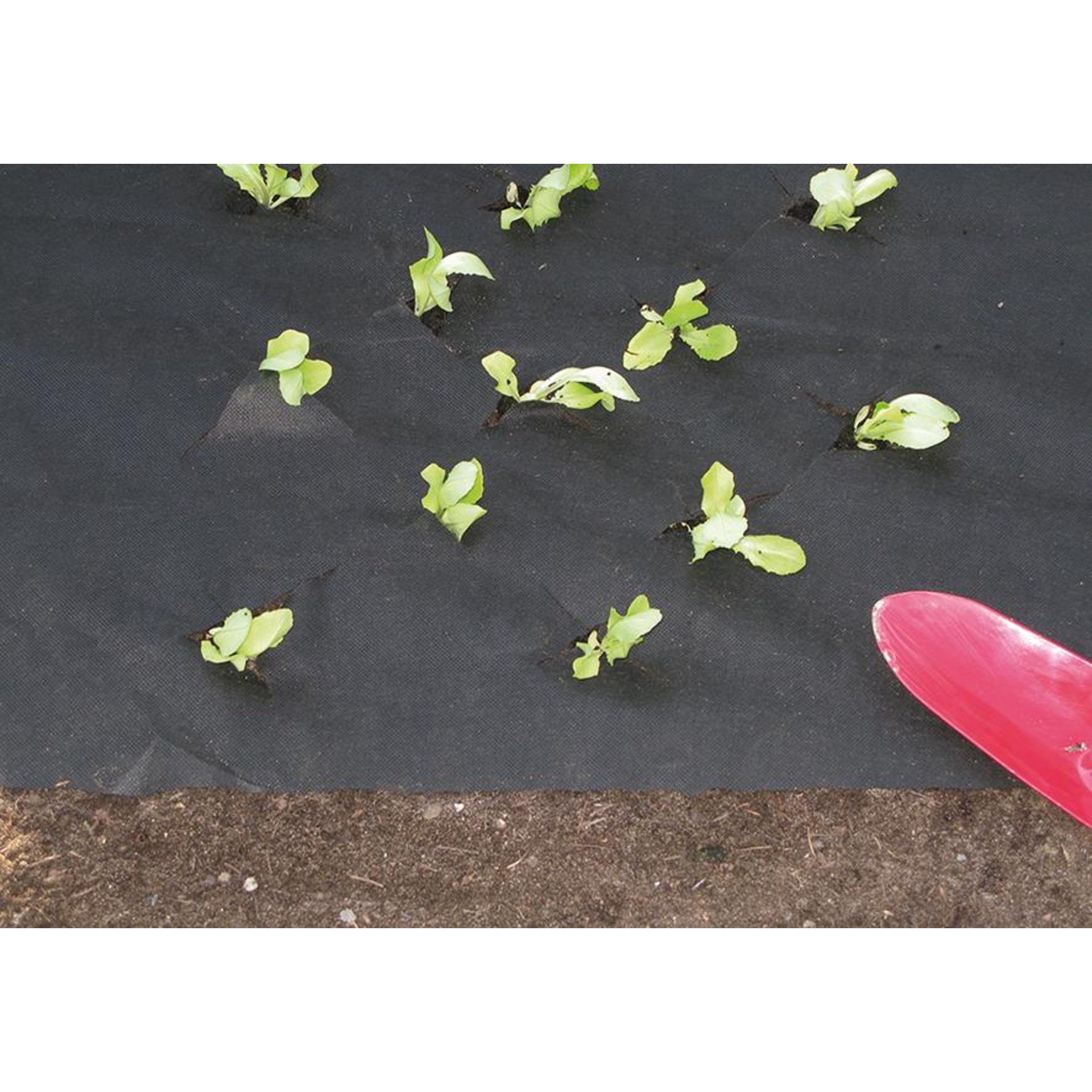 Mulchvlies 25x1,5m 50g schwarz