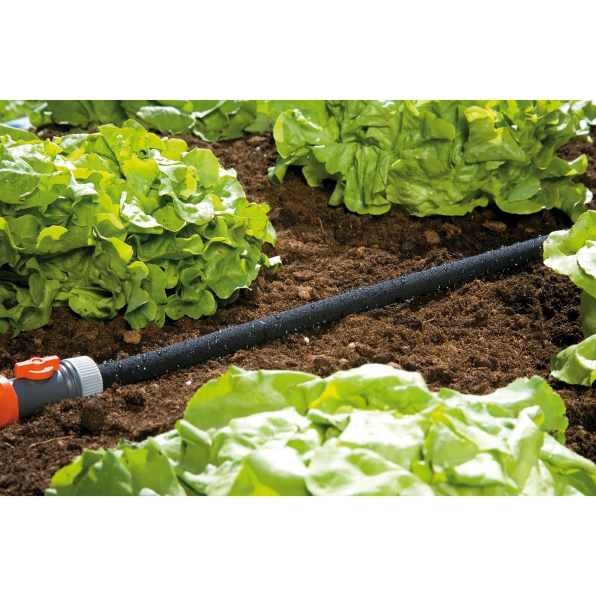 Perlregner 15 m Gardena