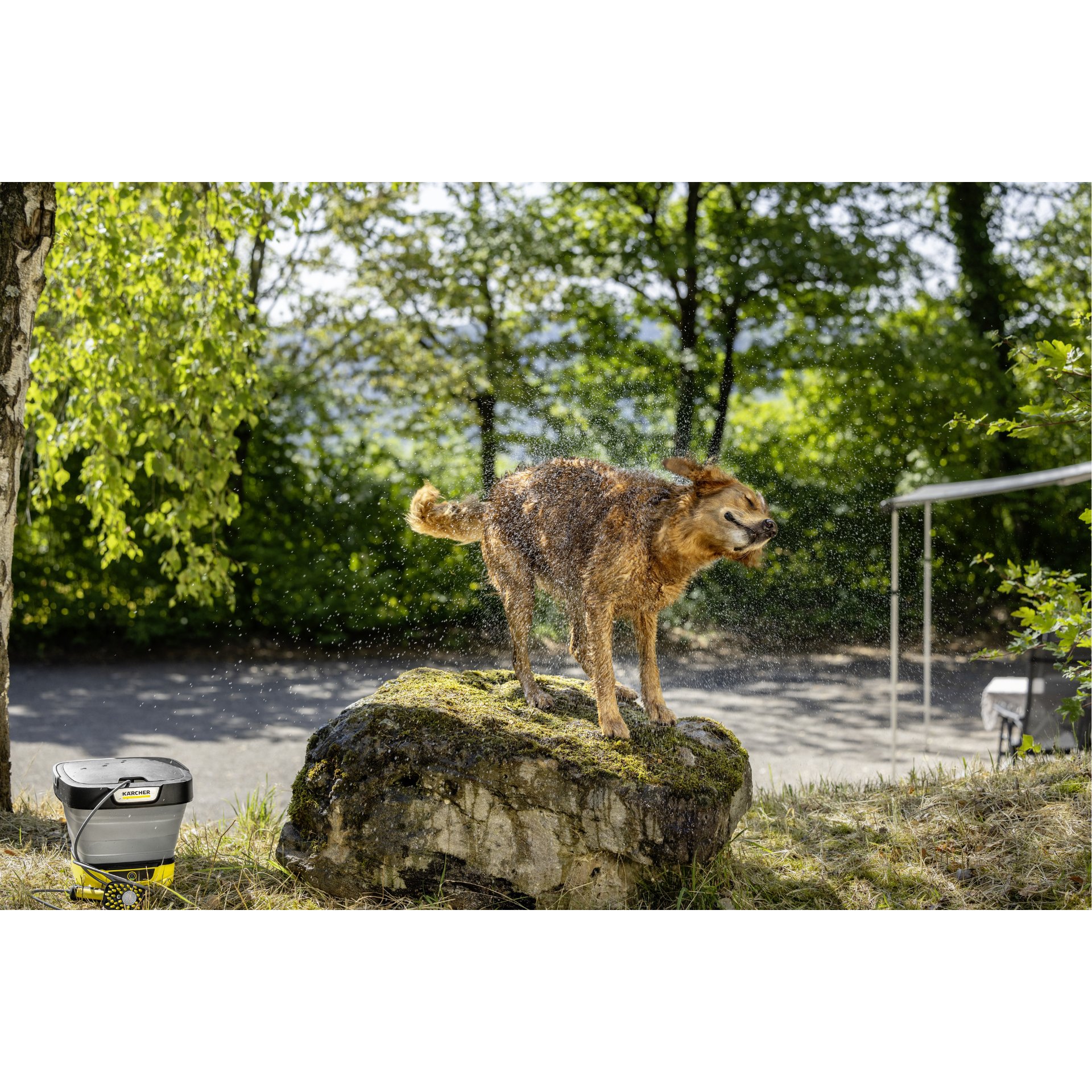 Kärcher Waschbuerste Haustier