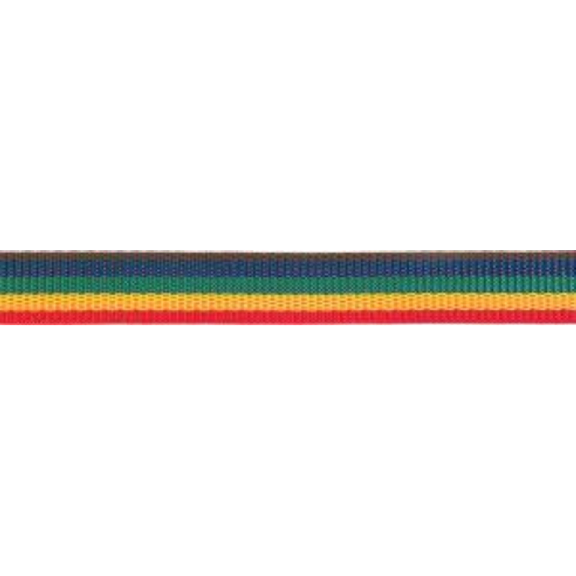 Gurtband mehrfarbig 25,0mm Ro.100m (250x110) PÖSAMO