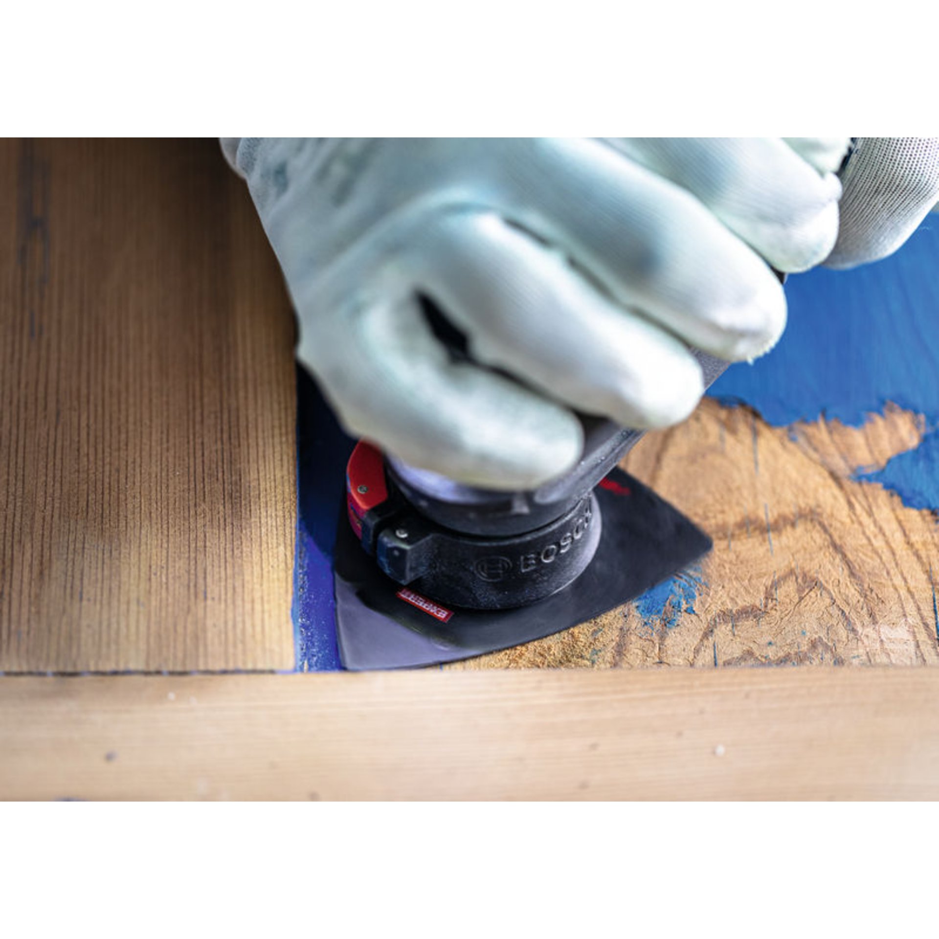 EXPERT AVZ 90 RT6 Schleifplatte, 90 mm