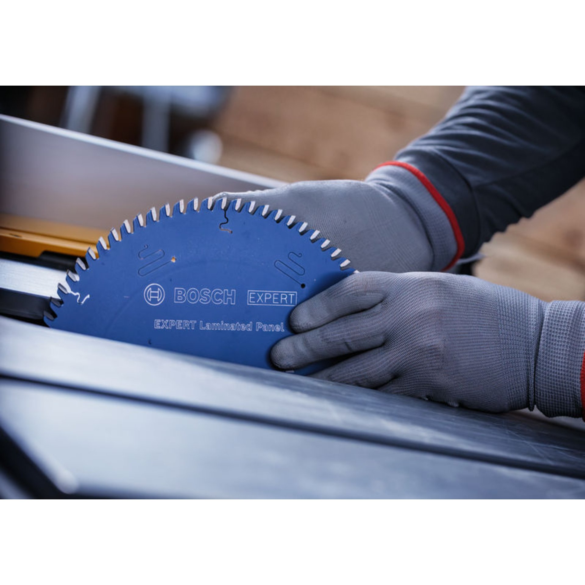 EXPERT Laminated Panel Kreissägeblatt, 250x30 mm, Z48