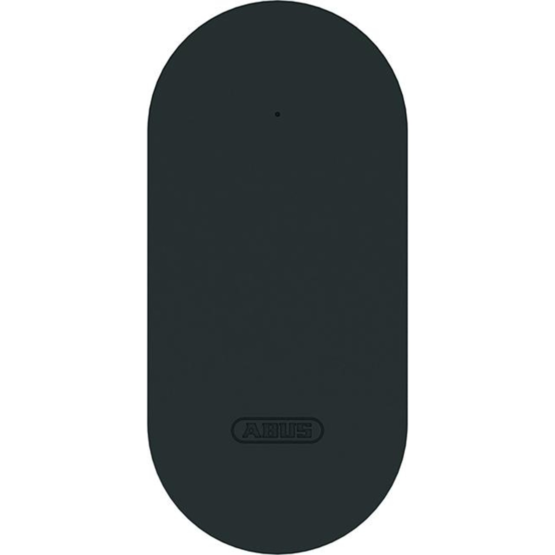BRIDGE One CFW4100BK ABUS