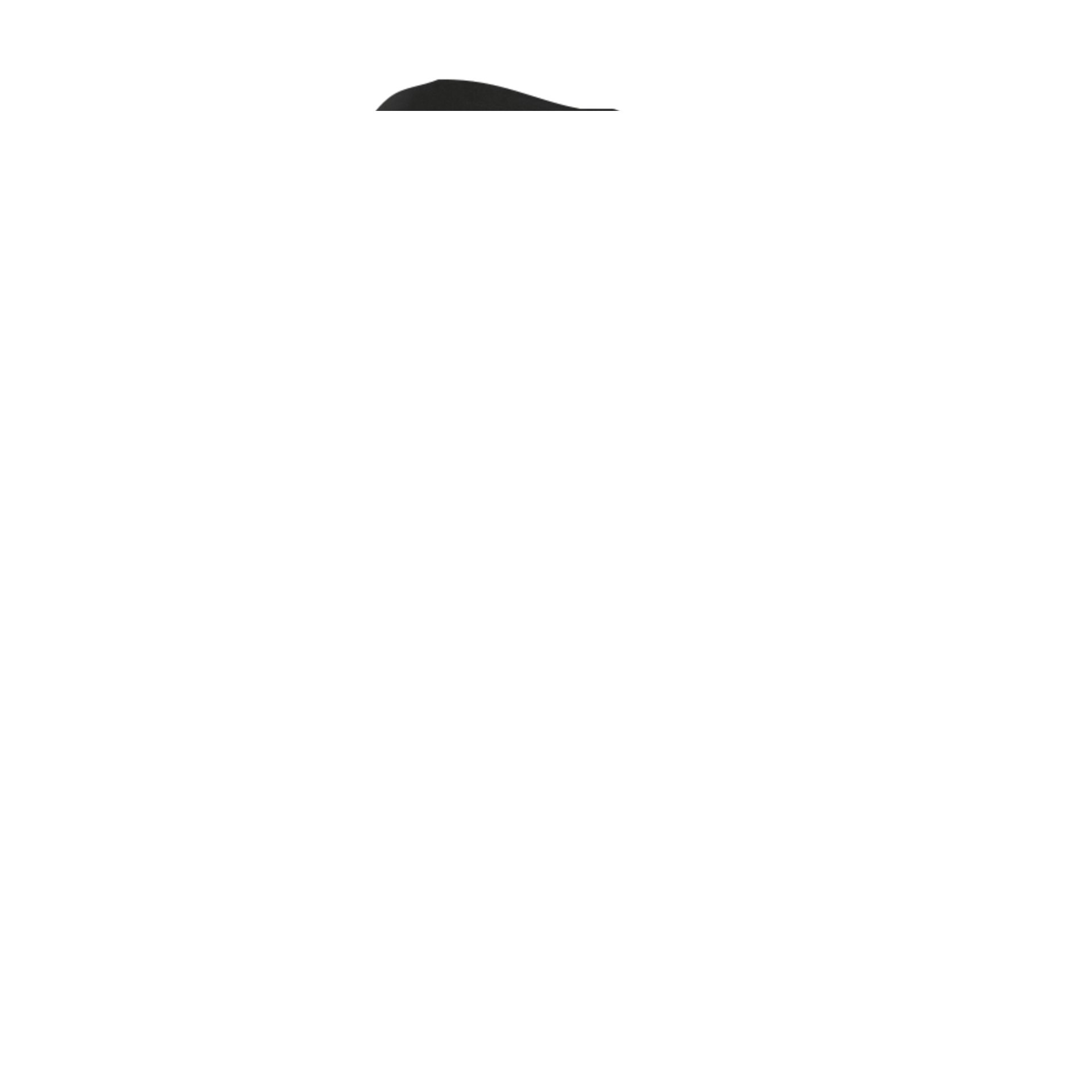 Sprossenkappe 800134