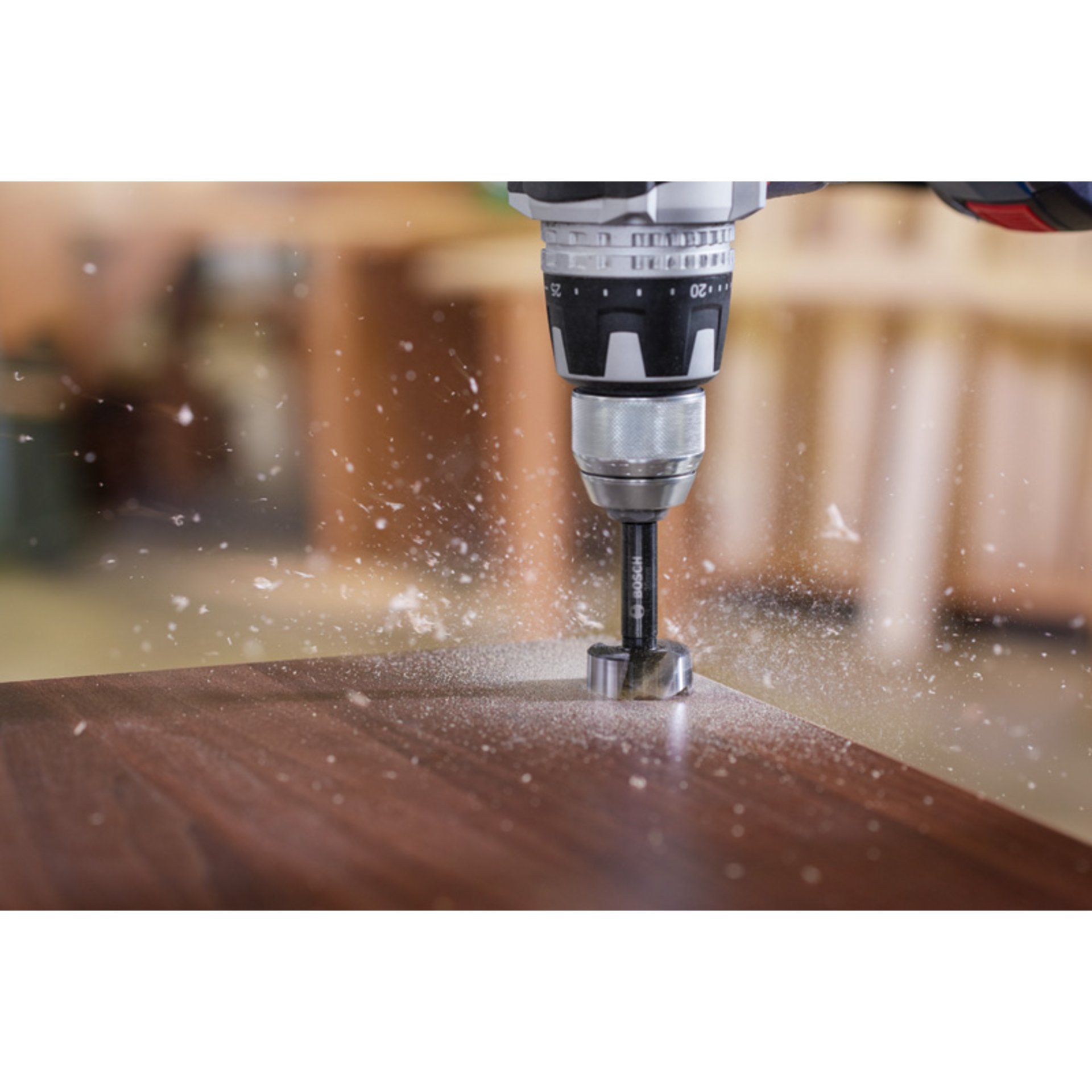 EXPERT Wood Forstnerbohrer, 10 mm