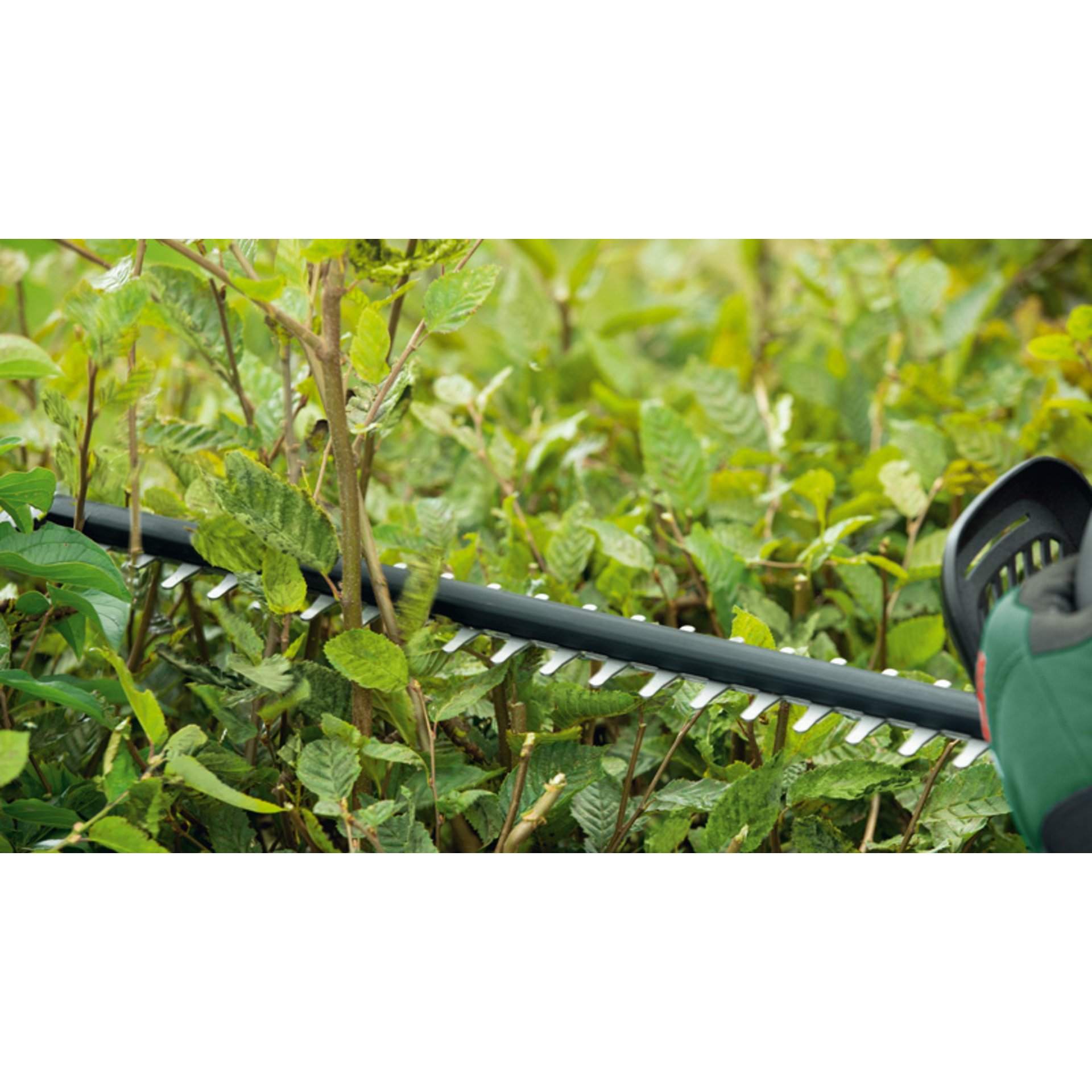 Akku-Heckenschere UniversalHedgeCut 18V-50, Akkupack 18V 2,5Ah